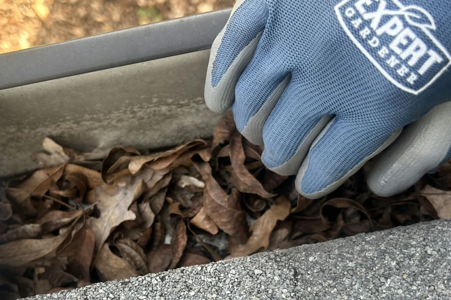 Gutter Cleaning Doral FL