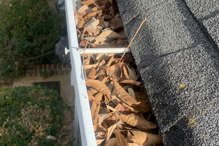 Gutter Cleaning Doral FL