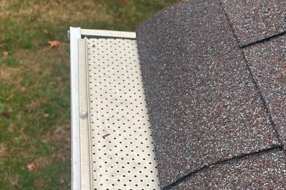 Gutter Cleaning Doral FL